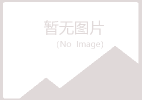 柳州城中友蕊制造有限公司